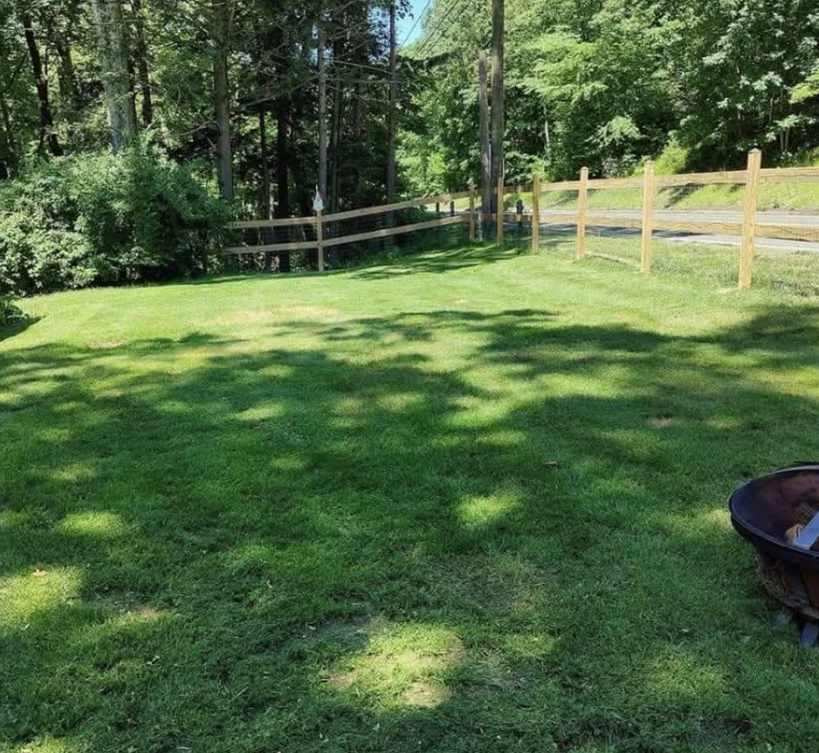 clean-yard-green-grass